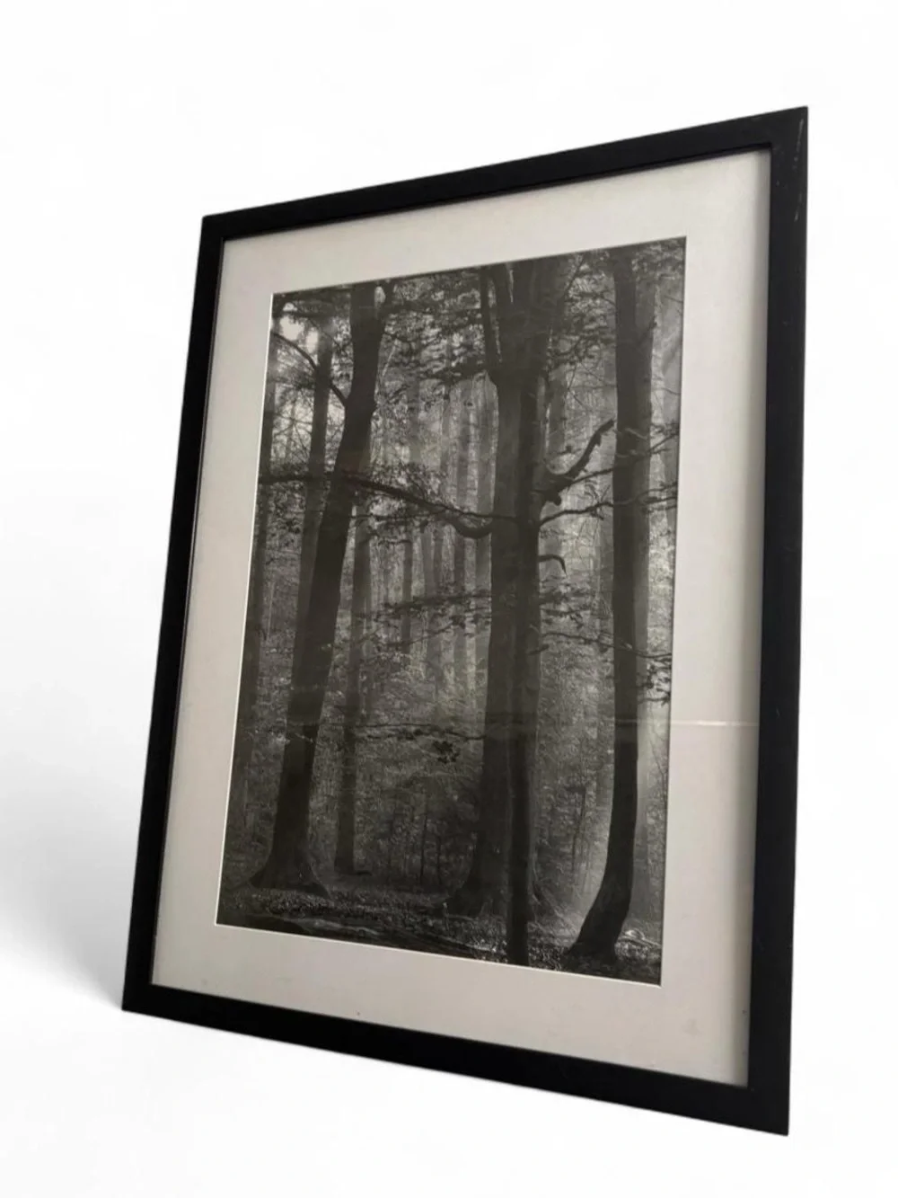 IKEA Black & White Forest Framed Wall Art Print Misty Trees Landscape 16x20